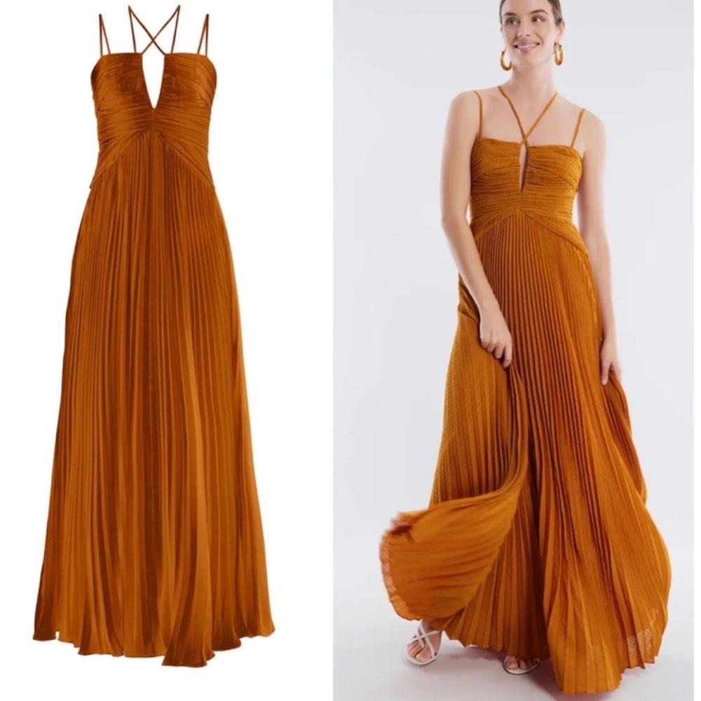 Ziv chiffon rust gown - BCBG, size 4